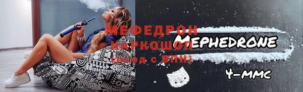 индика Новодвинск