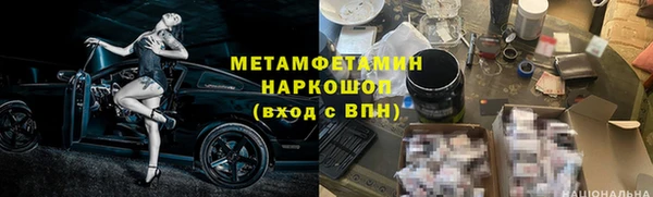 индика Новодвинск