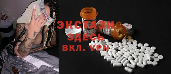 индика Новодвинск
