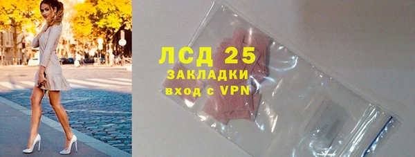 шишки Новокубанск