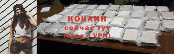 индика Новодвинск