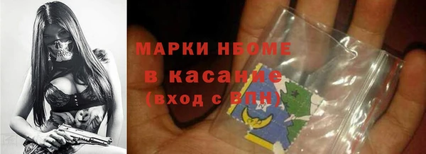 шишки Новокубанск