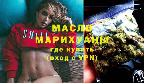 индика Новодвинск