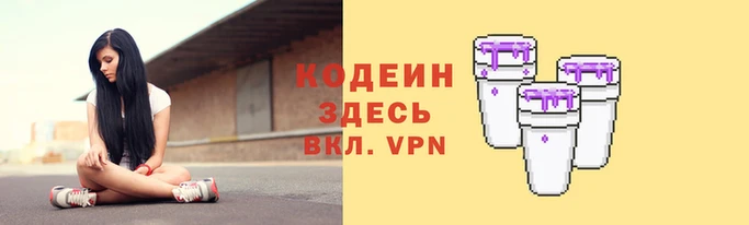 индика Новодвинск