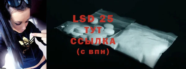 индика Новодвинск