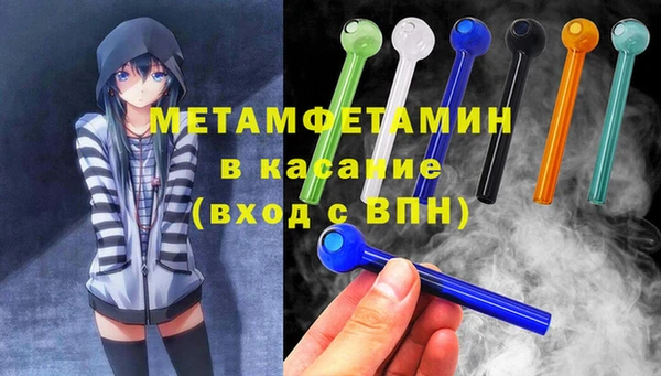 индика Новодвинск