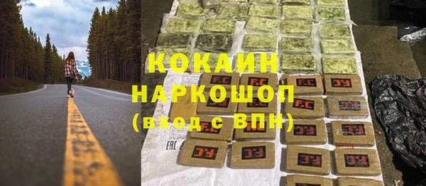 шишки Новокубанск