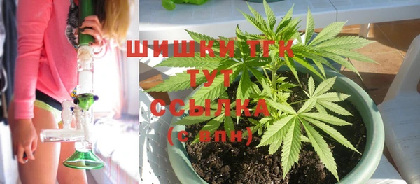 шишки Новокубанск