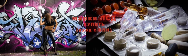 индика Новодвинск