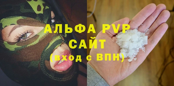 шишки Новокубанск