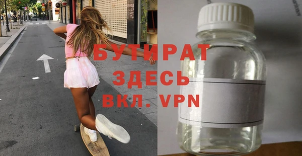 индика Новодвинск