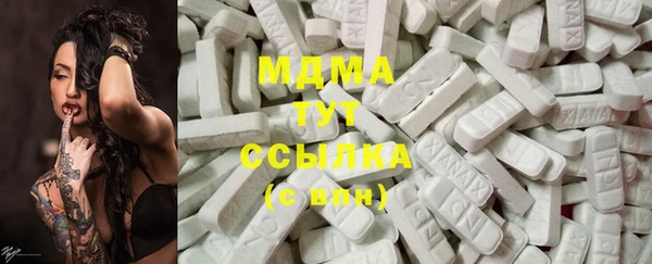индика Новодвинск