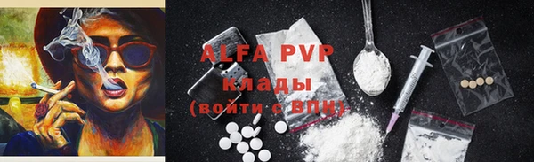 индика Новодвинск
