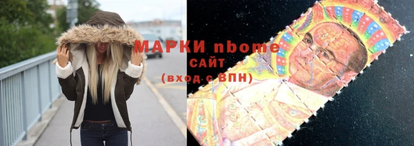 шишки Новокубанск