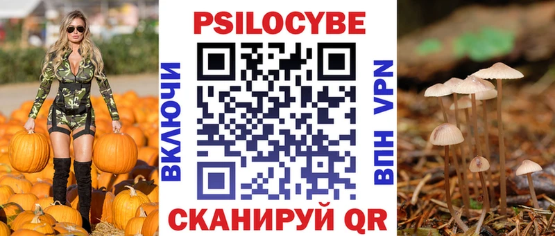 Галлюциногенные грибы Magic Shrooms  где продают   Черноголовка 